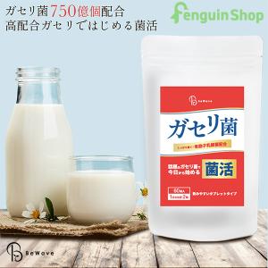 ビオライズ ビオエンザイムドリンク 500ml 【2本セット】88種類