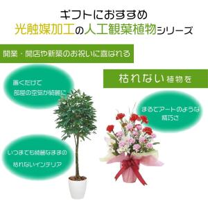 【クーポンで最大￥300OFF★18日まで】光...の詳細画像1