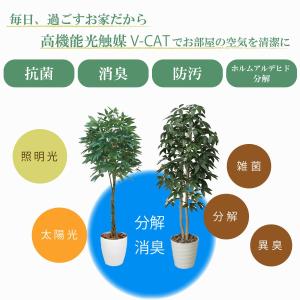 【クーポンで最大￥300OFF★18日まで】光...の詳細画像2