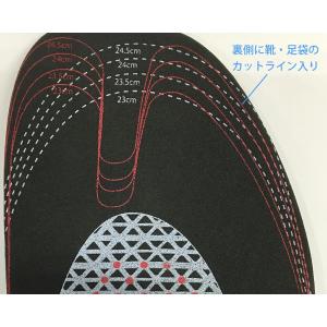【クーポンで111円OFF★9/1まで】丸山式...の詳細画像1