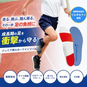 【5日はクーポンで最大￥300OFF】ソルボス...の詳細画像1