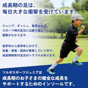 【5日はクーポンで最大￥300OFF】ソルボス...の詳細画像3