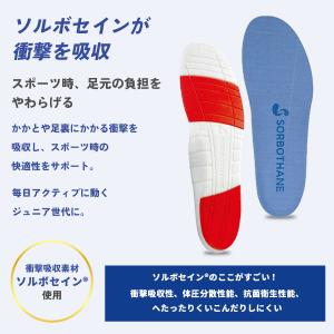 【5日はクーポンで最大￥300OFF】ソルボス...の詳細画像4