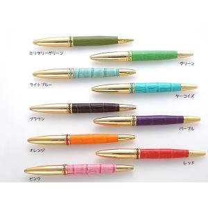 PLATINUM 万年筆 2本セット PLATINUM プラチナ 万年筆 シャーペン2本セット 楽天市場】platinum