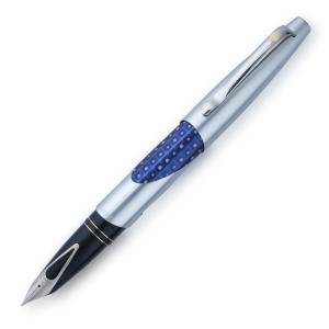 SHEAFFER シェーファー 2003年廃盤商品 イントリーグ 万年筆 マットクローム&ブルーパターン INT612PN｜penmeister