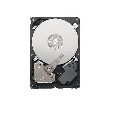 Pipeline HD ST1000VM002 - Festplatte - 1 TB