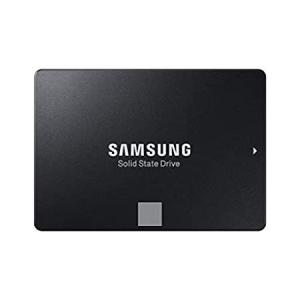 Samsung SSD 860 EVO 250GB 2.5 Inch SATA III Internal SSD (MZ-76E250B/AM)｜pennylane2022