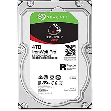 Seagate IronWolf Pro ST4000NE001 4 TB Hard Drive -...