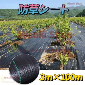 【3m×100m】即納 防草シート 雑草防止 園...の商品画像