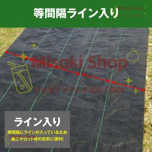 【3m×100m】即納 防草シート 雑草防止 ...の詳細画像4