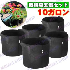 旧商品 ギルアード プラントバスケット34/32cm 48600 : サンワ