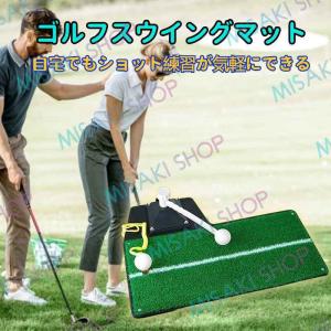 WINNER SPIRIT ウィナースピリット リアルスイング300 ゴルフスイング