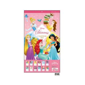2023年 ウォールカレンダー DCプリンセス 6585 サンスター文具 今年 人気 S8519536