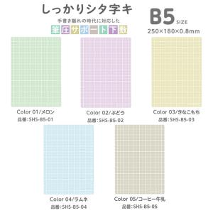 下敷き ワッツニュー フラット 9570 クラックス 103957 P : PENPORT