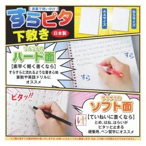 下敷き ワッツニュー フラット 9570 クラックス 103957 P : PENPORT