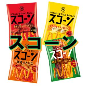 chip star チップスターSうすしお 45g×48個入り(1ケース) : ビーズ