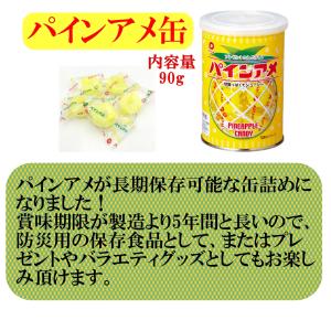 保存食 長期保存 保存缶 防災食 非常食 お菓...の詳細画像2