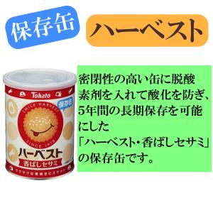 保存食 長期保存 保存缶 防災食 非常食 お菓...の詳細画像3