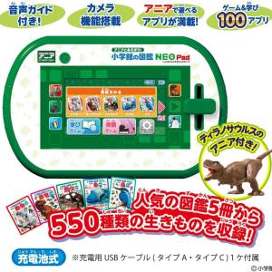 アニア 恐竜 動物 おもちゃ アニアとあそぼう...の詳細画像1