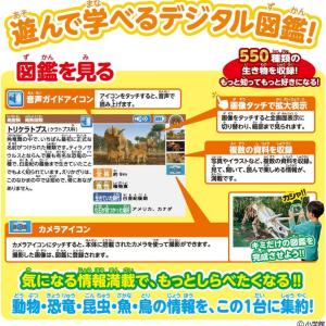 アニア 恐竜 動物 おもちゃ アニアとあそぼう...の詳細画像2