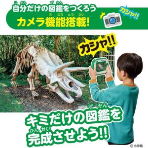 アニア 恐竜 動物 おもちゃ アニアとあそぼう...の詳細画像4