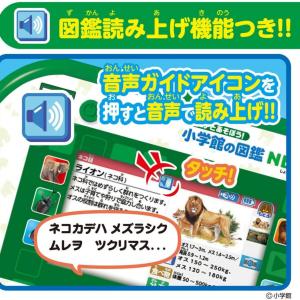 アニア 恐竜 動物 おもちゃ アニアとあそぼう...の詳細画像5