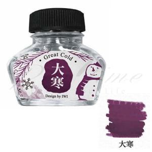 ≪即日発送可能≫IWI（台湾） ボトルインク カラーオブネーチャー