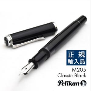 プラチナ万年筆 万年筆 金沢箔万年筆 月と兎 PTL-20000H-87 PLATINUM