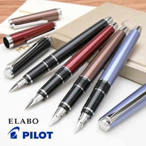 PILOT（パイロット） 万年筆用顔料インキ TSUWAIRO 強色 INK-30TW