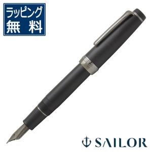 WATERMAN（ウォーターマン） カレン・デラックス ブルーST スペシャル
