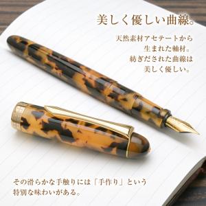 万年筆 名入れ Pent ペント 大西製作所 ...の詳細画像5