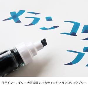 寺西化学工業 ギター てづくりペン 無色彩色 ...の詳細画像1