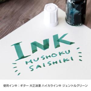 寺西化学工業 ギター てづくりペン 無色彩色 ...の詳細画像2