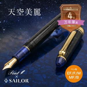 プラチナ万年筆 万年筆 PLATINUM プレジデント PTB-25000PR : 高級