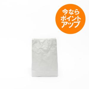 ニュークリンクルスーパーバッグ/ホワイト/LL/19.5cm/小松誠/花器