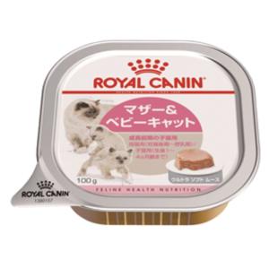 ロイヤルカナン FHN-WET マザー＆ベビーキャット 猫用 100g×12個｜pepe-shop