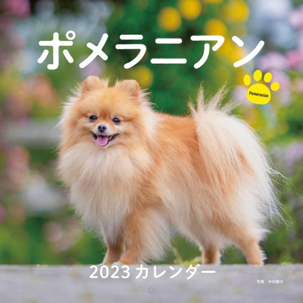 2023年カレンダー ポメラニアン (誠文堂新光社カレンダー)