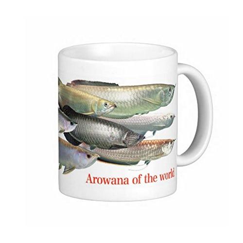 世界のアロワナのマグカップ：フォトマグ（世界の熱帯魚シリーズ）
