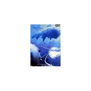 青の6号 dts edition Vol.3 [DVD]｜pepin-mall