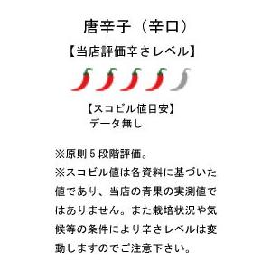 【メール便選択可】国産 生 青唐辛子 辛口 5...の詳細画像1