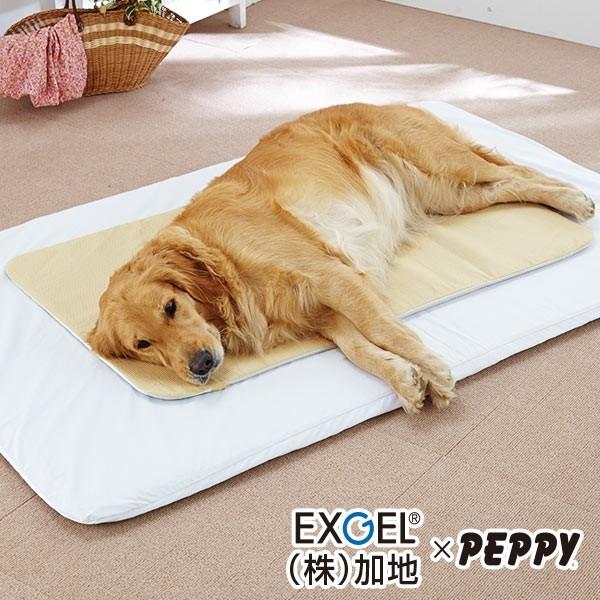 老犬 シニア エクスジェルマット Mサイズ 介護用品 ベッド クッション シニア 老齢犬 体圧分散 ...
