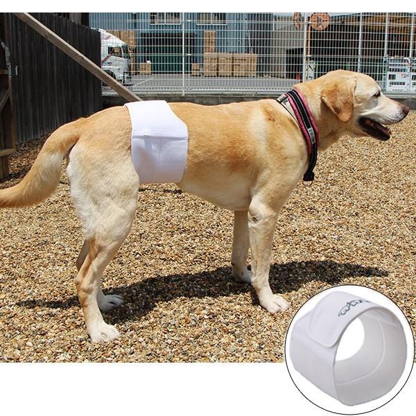 犬 マナーベルト しっかりフィットマナーベルト 犬用品 犬用 マナーバンド 大型犬 男の子用 オス ...