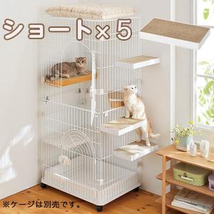 ケージ用ステップ　ショート・5個　※ケージは別売りです。猫 ケージ用ステップ 小猫 仔猫 シニア猫 短足猫 ゲージ 階段 取付簡単 ダンボール製 爪とぎ