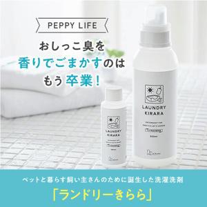 洗濯洗剤 ペット臭 ランドリーきらら 本体 5...の詳細画像1
