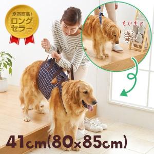 犬 介護 アシスタントバンド (歩行補助ハーネス） 約着丈41×バスト （最小80×最大85） cm 犬 老犬 シニア 介護 排泄 散歩 歩行の商品画像