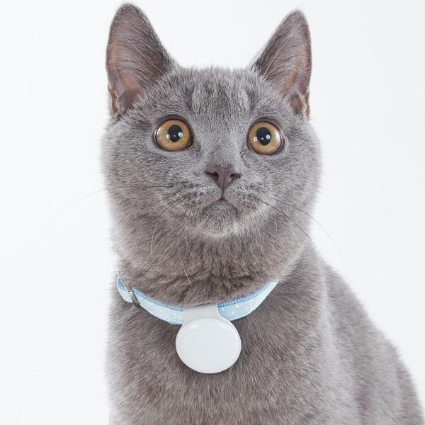 ペットケアモニター 個体識別バッチ ※本体は別売りです。