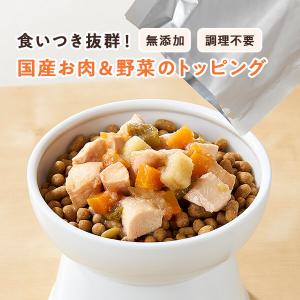 犬ウェットフード PEPPY LIFE わんデリ　犬 フード おやつ ごほうび 美味しい 国産 安心 安全 お肉 野菜 乳酸菌 ペット ペピイ PEPPY
