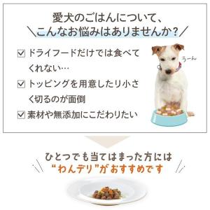 犬ウェットフード PEPPY LIFE わんデ...の詳細画像1