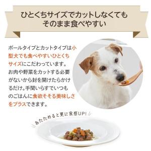犬ウェットフード PEPPY LIFE わんデ...の詳細画像2
