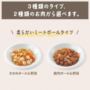 犬ウェットフード PEPPY LIFE わんデ...の詳細画像3